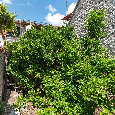 Kuca Za Odmor Polus Holiday home