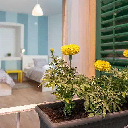 Kuca Za Odmor Polus Holiday home