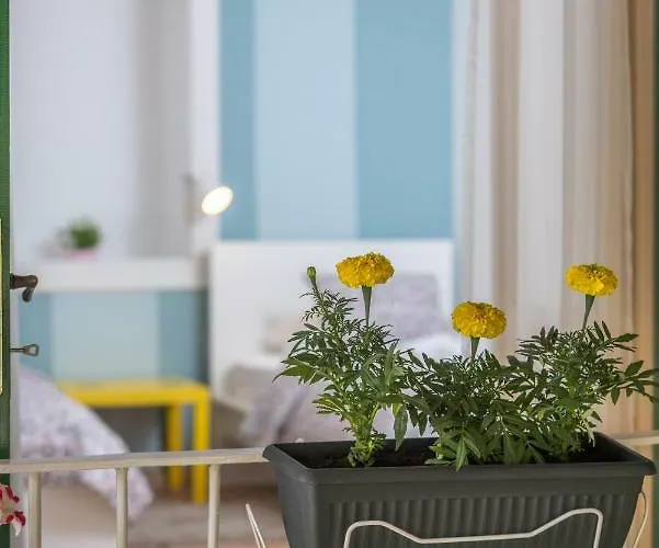 Kuca Za Odmor Polus Ferienhaus Trogir